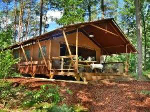 Glamping tent huren in het bos