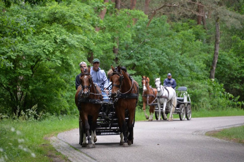 Sportdag als teambuilding organiseren bij Outdoors Holten