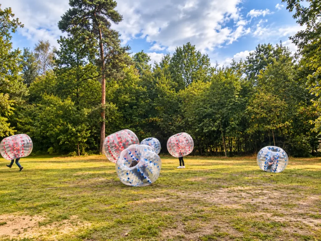 Vivera teambuilding uitje